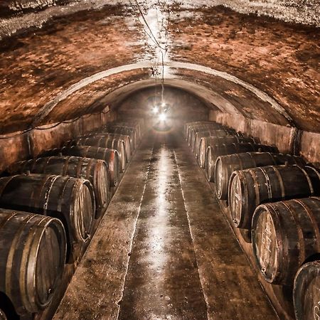 Weingut Dr Wagner Villa Saarburg Ngoại thất bức ảnh