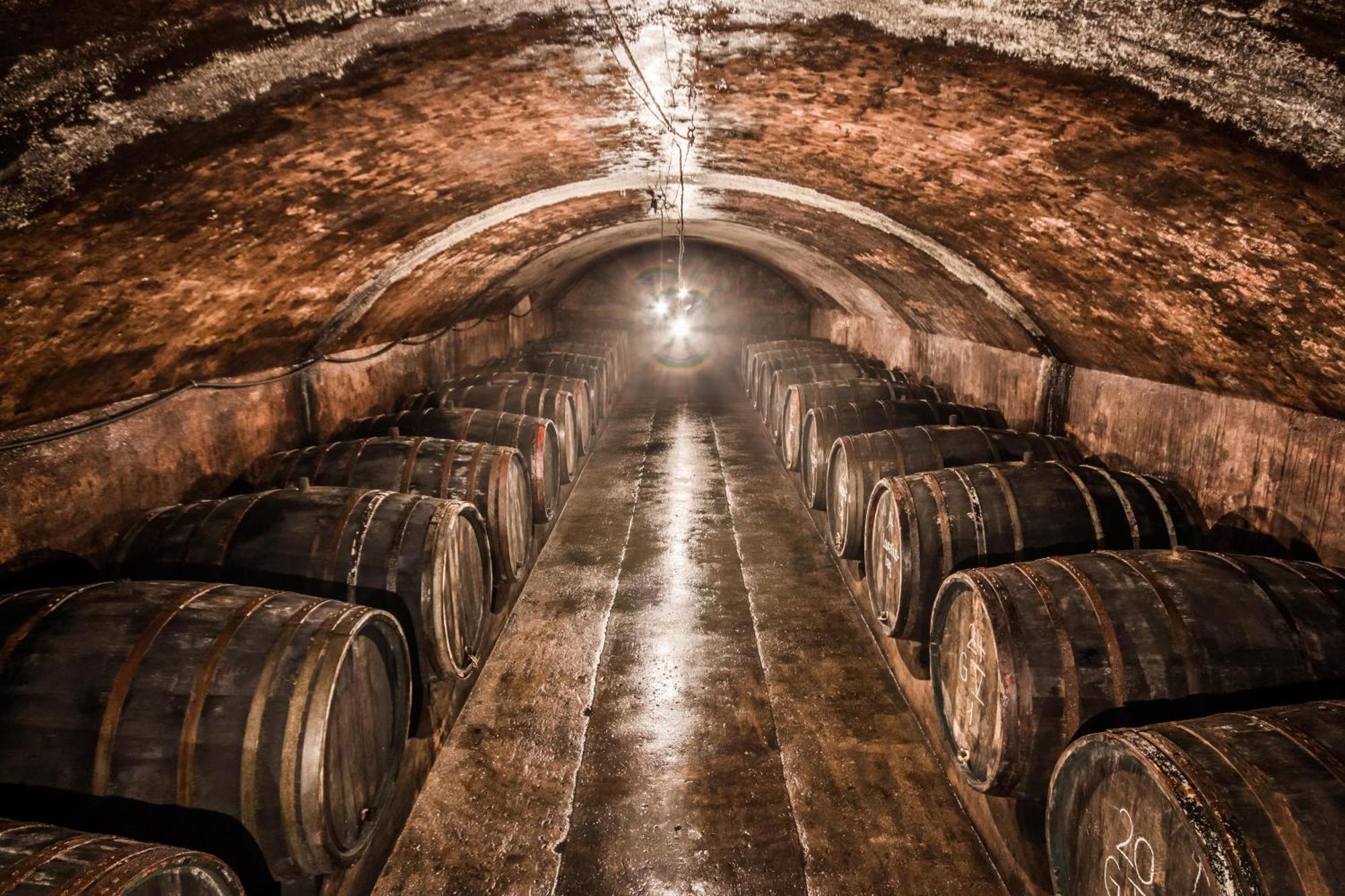 Weingut Dr Wagner Villa Saarburg Ngoại thất bức ảnh