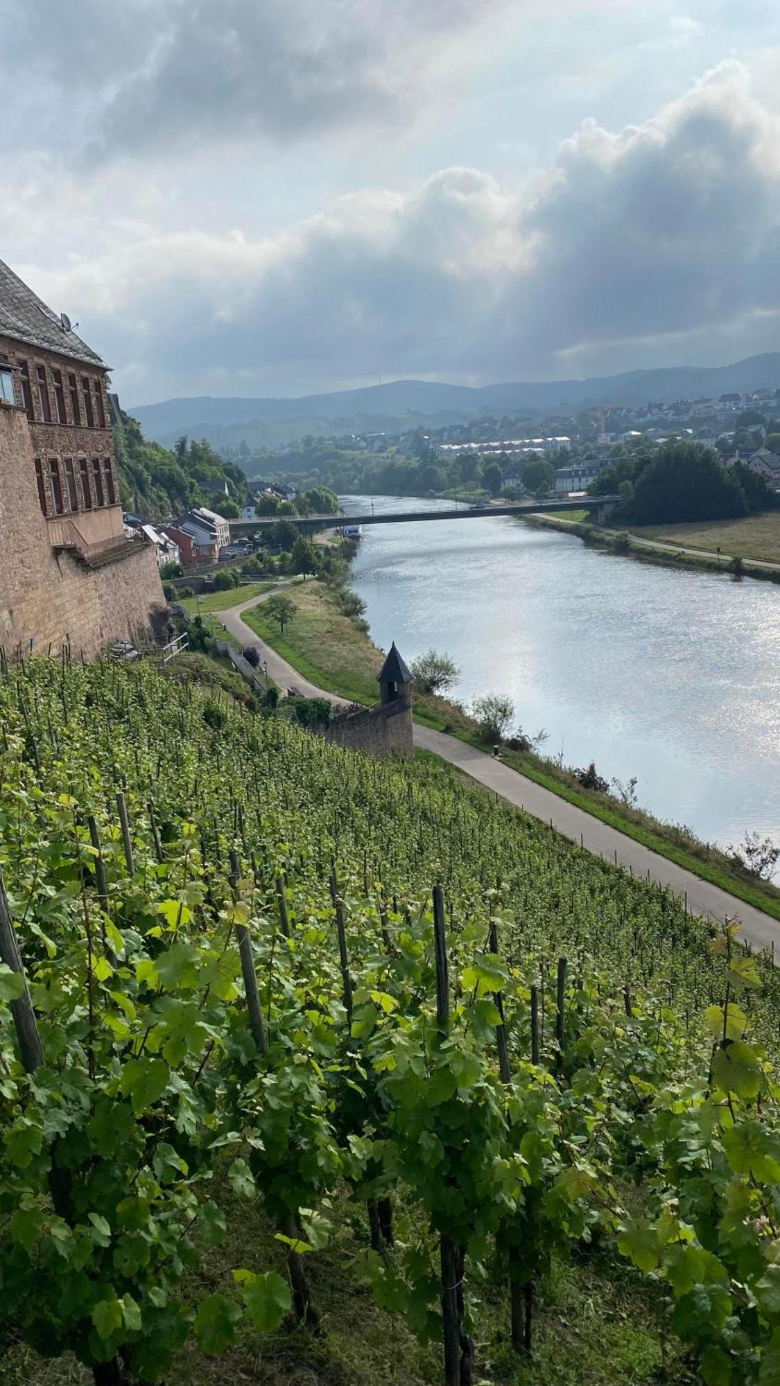 Weingut Dr Wagner Villa Saarburg Ngoại thất bức ảnh